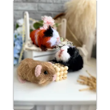 Морские свинки