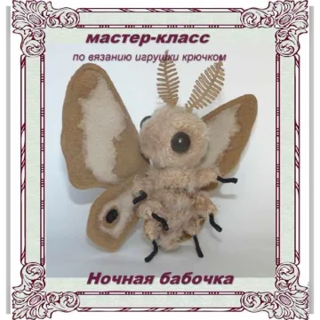 Ночная бабочка