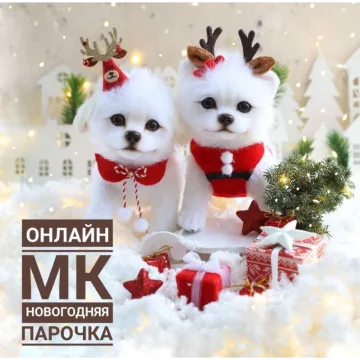 Новогодняя парочка
