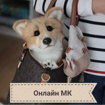 Онлайн мастер-класс по корги