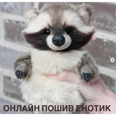 Онлайн пошив "Енотик" - Татьяна Кондратьева