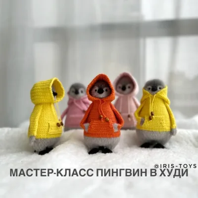 Пингвин в худи - Ирина Ни
