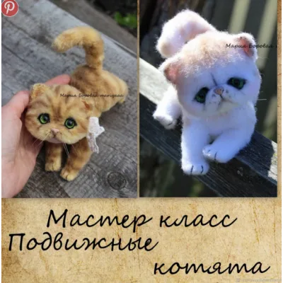 Подвижные котята - Мария Боровая