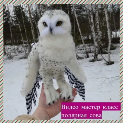 Полярная сова - Татьяна Гришина