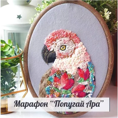 Попугай Ара - Аня Смородина