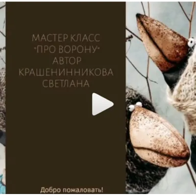 Про Ворону - Светлана Крашенинникова