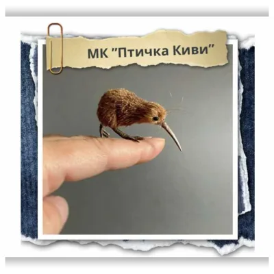 Птичка Киви - Наташа Косова