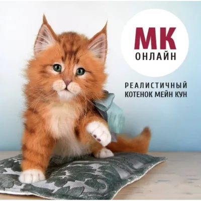 Реалистичный котенок Мейн кун - Анастасия Масловская