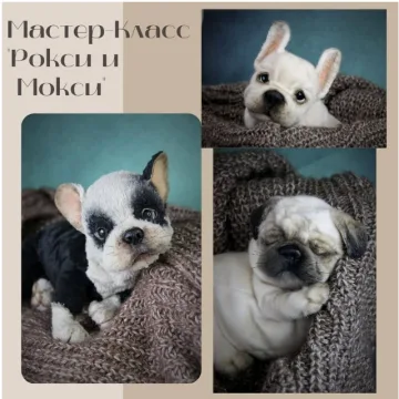 Рокси и Мокси