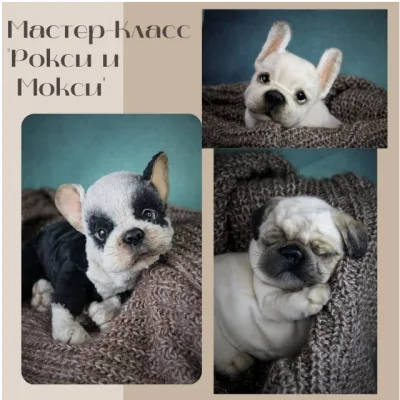 Рокси и Мокси - Валентина Крижановская