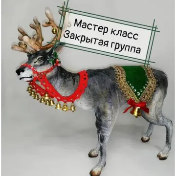 Северный олень Освальд