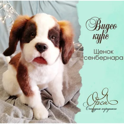 Щенок сенбернара - Янина Орса