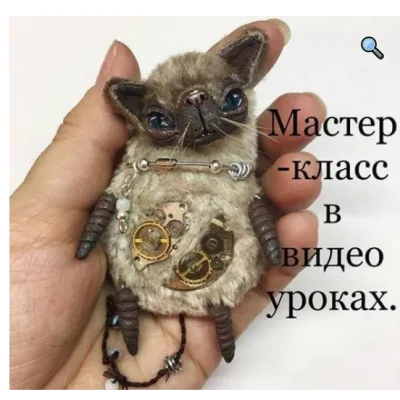 Сиамский кот - Кристина Грачева