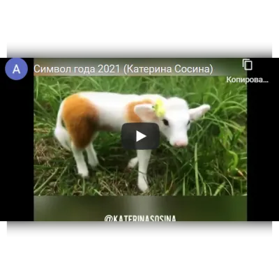 Символ года 2021 - Катерина Сосина