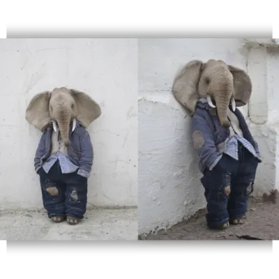 Слон mr. Elephant - Евгения Агафонова