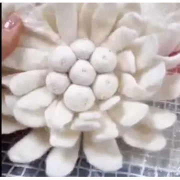 Снежная хризантема