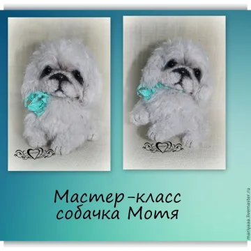 Собачка Мотя