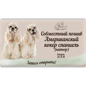 Совместный пошив "Американский кокер спаниель"