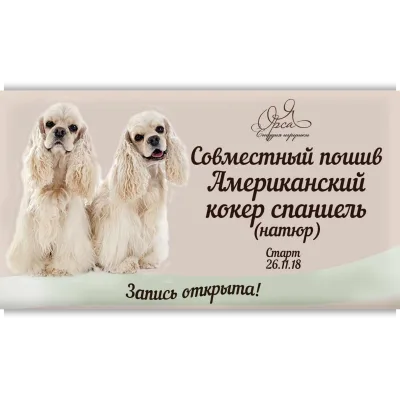 Совместный пошив "Американский кокер спаниель" - Янина Орса