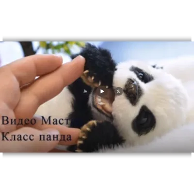 Совместный пошив пандочки - Ирина Феди