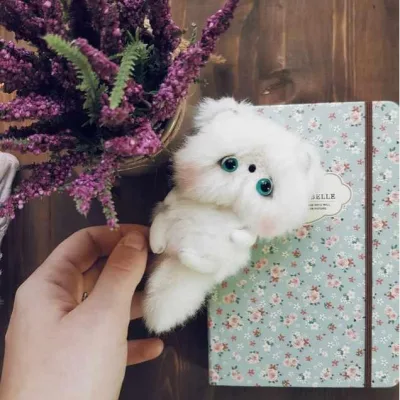 Совместный пошив «Тедди Хрюшка» + 2 бонуса: МК по котику и брошке - Катя Мишина