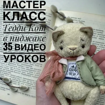 Тедди Кот в пиджаке