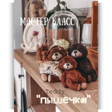 Тедди Пышечка