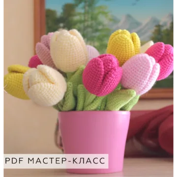 Тюльпан