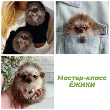 Варежки и брошь Ёжики