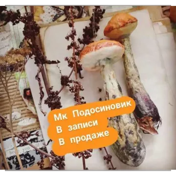 Ватная игрушка "Подосиновик"