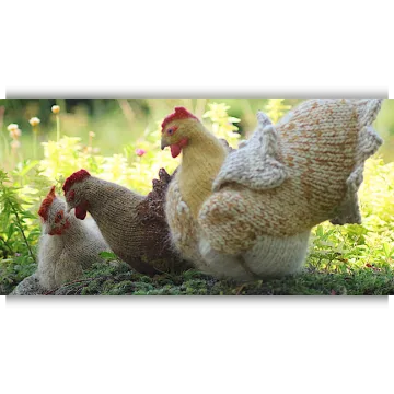Вязаная спицами курица Hen