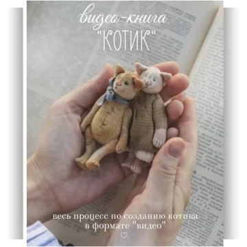 Видео-книга Котик
