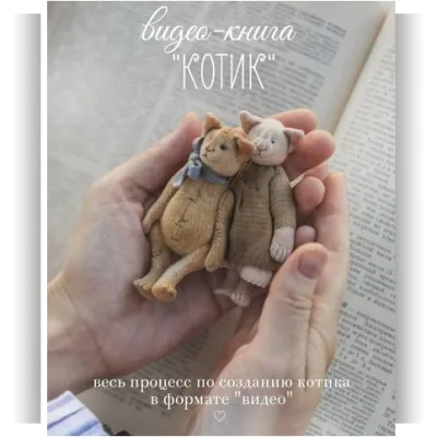 Видео-книга Котик - Наталья Суранова