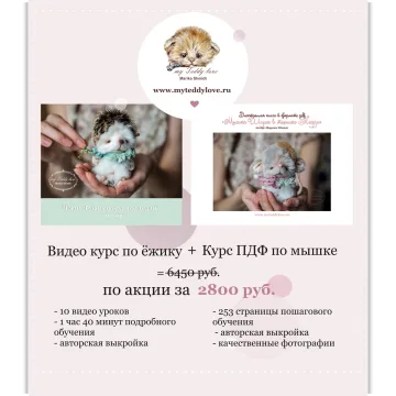Видео курс по ёжику и электронная книга по мышке