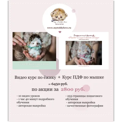 Видео курс по ёжику и электронная книга по мышке - Марика Шмидт