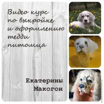 Видео-курс по выкройке и оформлению тедди питомца