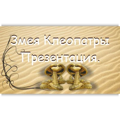 Видео курс "Змея Клеопатры" - Людмила Кузнецова