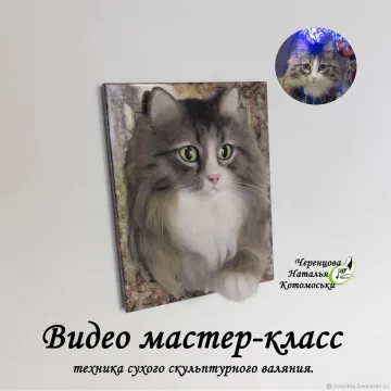 Видео мастер класс. Портрет кота
