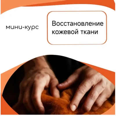 Восстановление кожевой - Елена Умнова