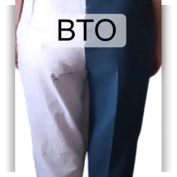 ВТО брюк