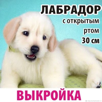 Выкройка Лабрадор с открытым ртом - Анастасия Аржаева