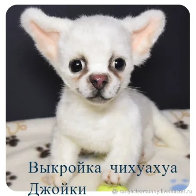 Выкройка щенка чихуахуа Джойки - Татьяна Гришина