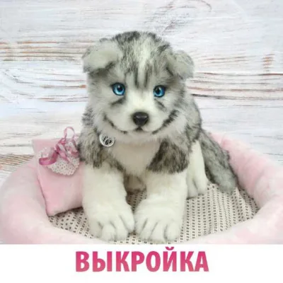 Выкройка Щенок Хаски в стиле натюр - Анастасия Аржаева-Масловская