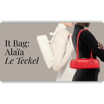 Выкройка сумки Alaïa Le Teckel Bag