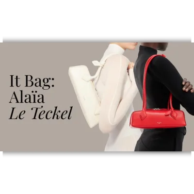 Выкройка сумки Alaïa Le Teckel Bag - Игорь Мозгунов