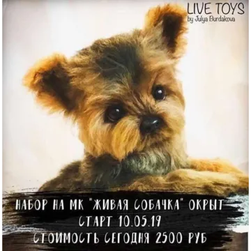 Живая собачка