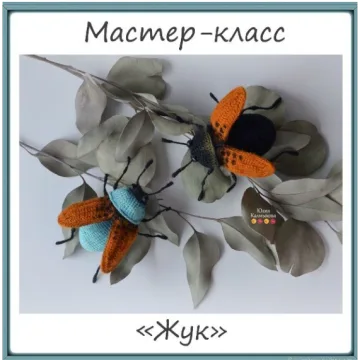 Жук