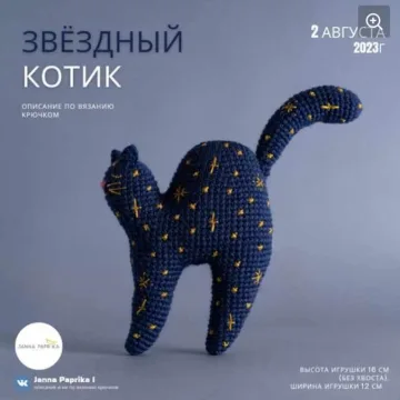 Звёздный котик